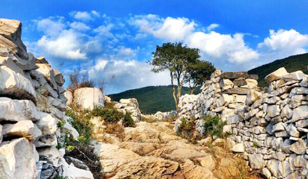 ΑΚΡΟΠΟΛΗ ΤΗΣ ΠΛΑΤΑΝΙΑΣ